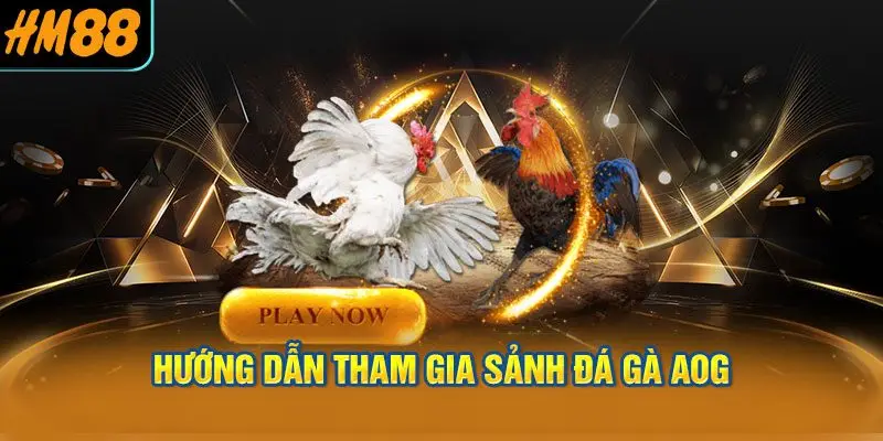 Hướng Dẫn Tham Gia Sảnh đá gà AOG