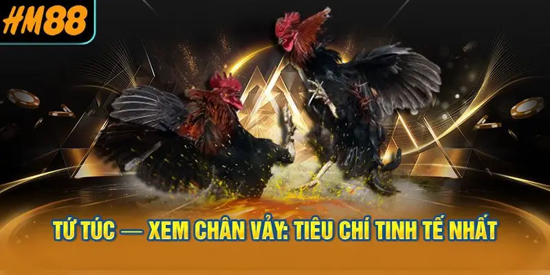 Nhì Vĩ và Tam Hình — Xem Lông và Thân Hình Tổng Thể
