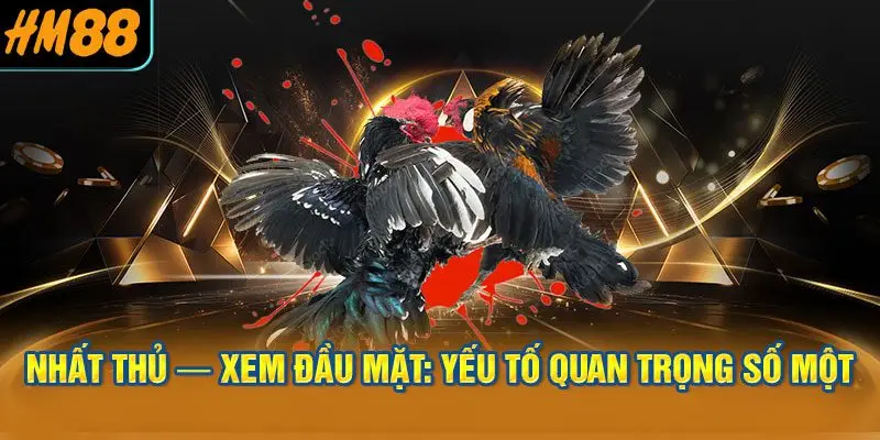 Nhất Thủ — Xem Đầu Mặt: Yếu Tố Quan Trọng Số Một